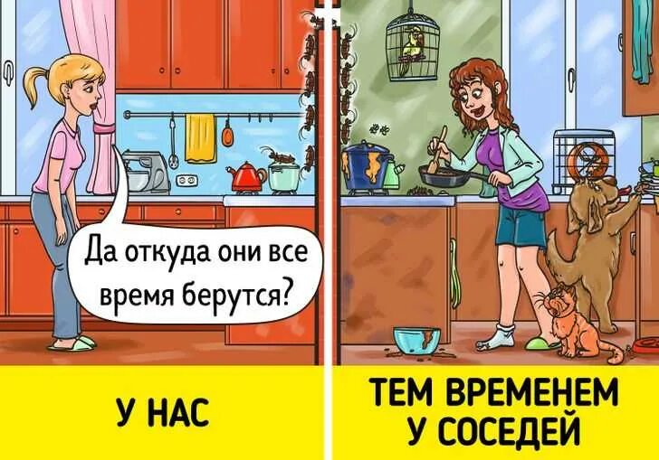 Виды соседей. Жизнь с соседями. Типы соседей прикол. Типы соседей Мем.