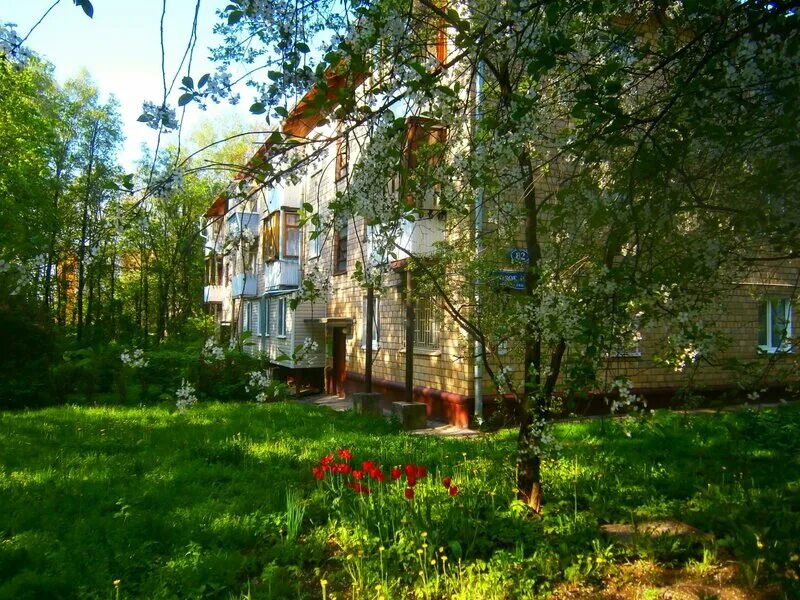 прогноз погоды горки ленинские. ленинские горки видное. любимая беседка ленина в ленинских горках. погода в горках. погода в сысерти на неделю.