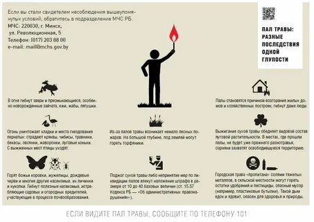 Есть слово пал