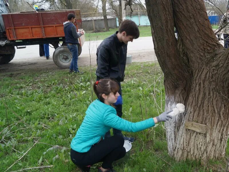 Экологическая акция побелка деревьев. Чистое село. Акция чистое село. Село Степное.