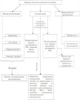 Структура органов социальной защиты схема