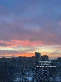 Туту люберцы