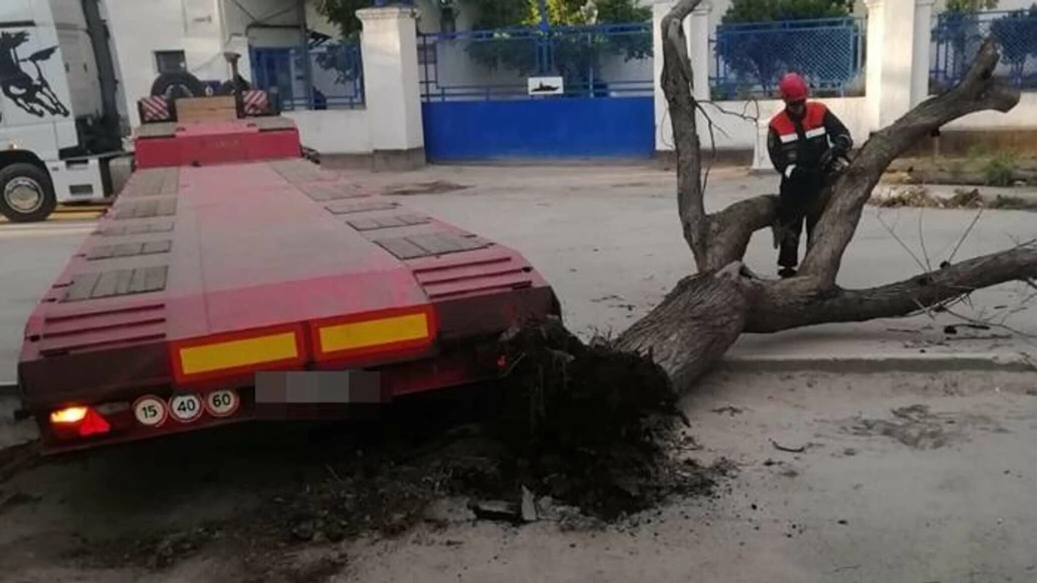 КАМАЗ врезался в дерево.