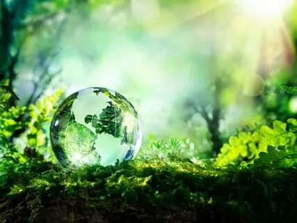Environment rus