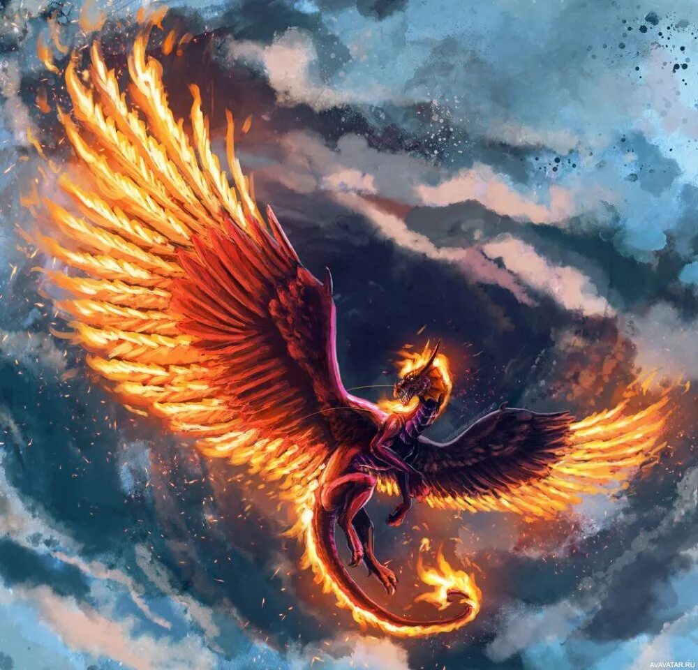 Red phoenix