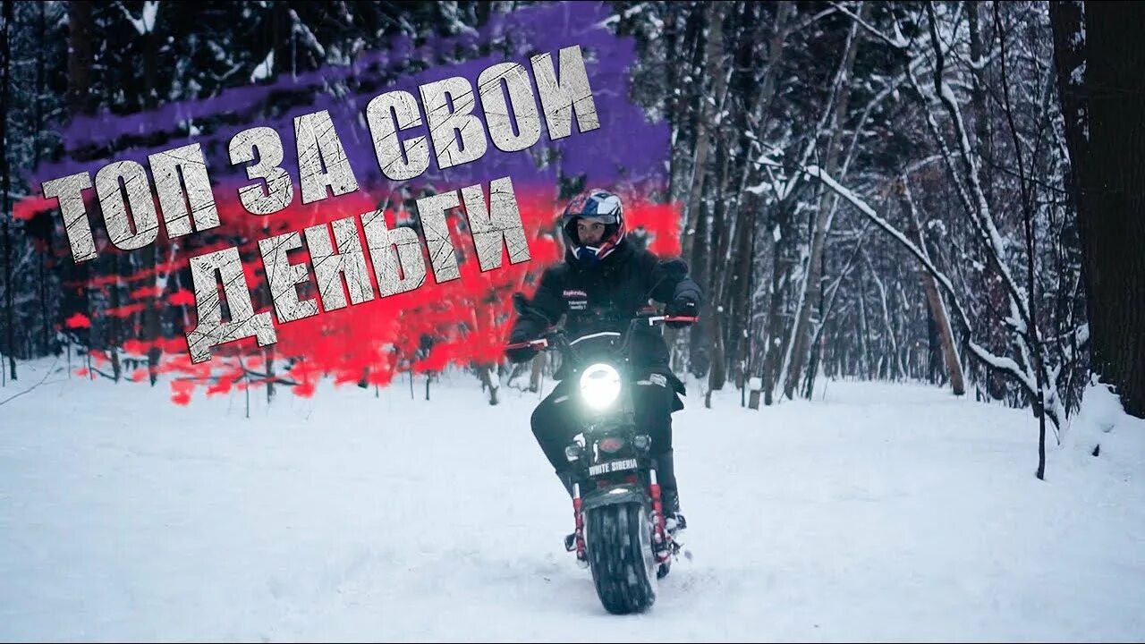 Электроскутер Сиберия про 2500. White Siberia citycoco 2wd 4000w. Электроскутер White Siberia Pro+ 2500w. White Siberia 2500. Эко мото ком