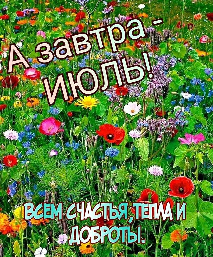 Первый день июля доброе утро картинки красивые