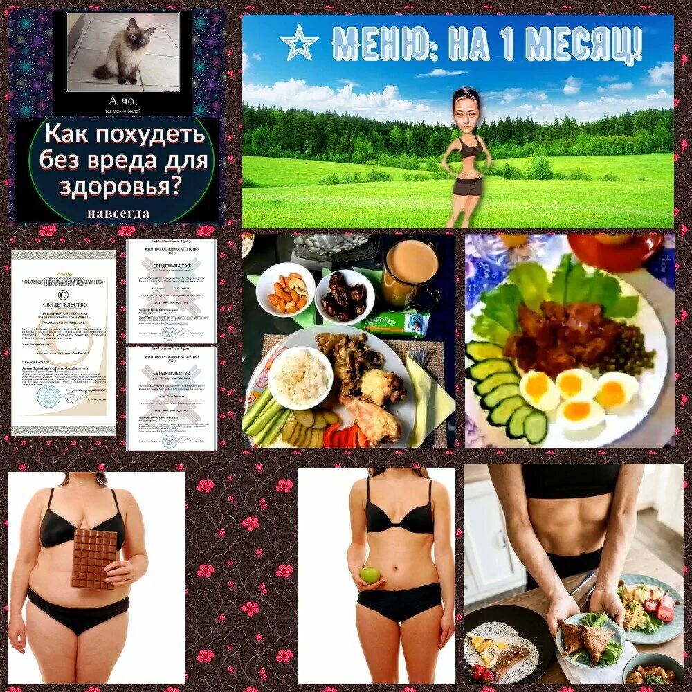 методика похудения ольги гостевой в чем заключается