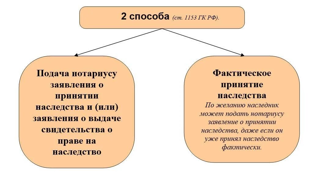 Способы и срок принятия наследства. Способы принятия наследства схема. схема 2 способа принятия наследства. способы принятия наследства гк рф. способы и срок принятия наследства кратко.