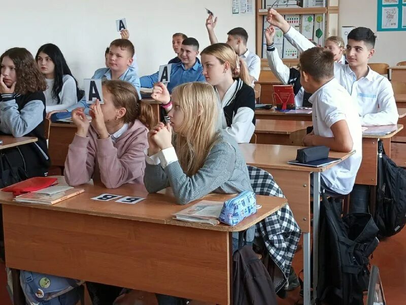 лицей пгт афипского