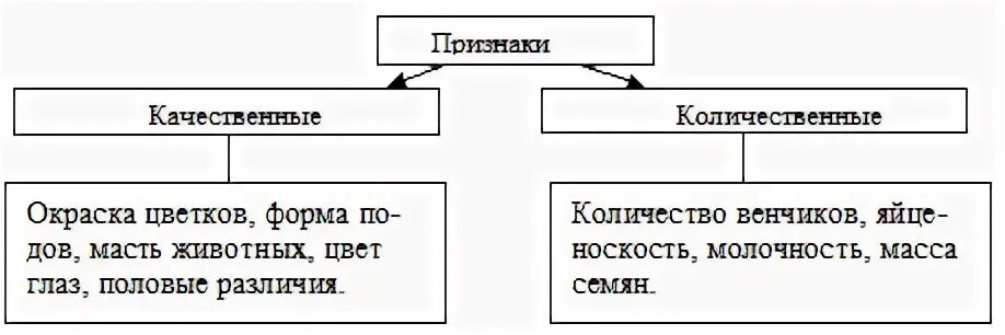 Что служит примером качественных данных в биологии