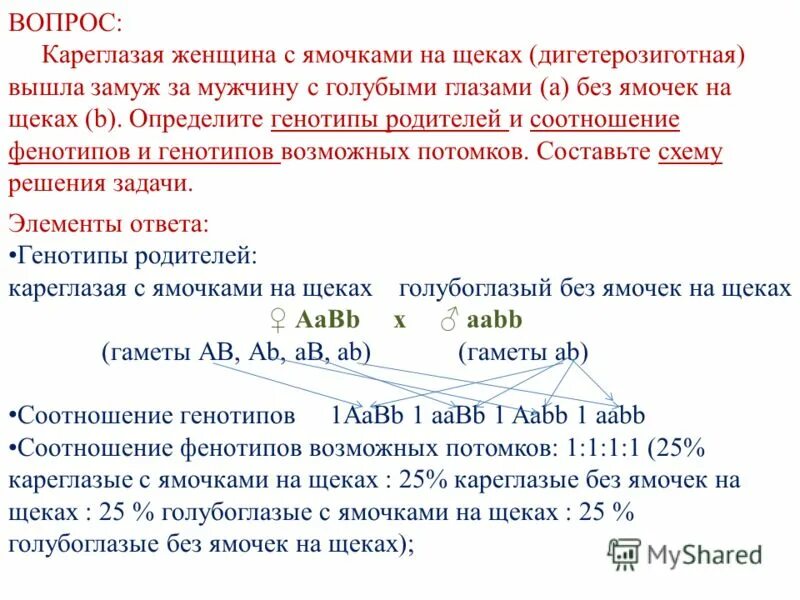 у голубоглазого темноволосого отца и кареглазой светловолосой. запишите возможные генотипы светловолосой кареглазой женщины. у человека темная окраска волос доминирует над светлой. как определить генотип родителей и потомства. какие генотипы у родителей и детей если у светловолосой матери.