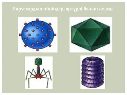 Мулат Эрикпен орыс секс