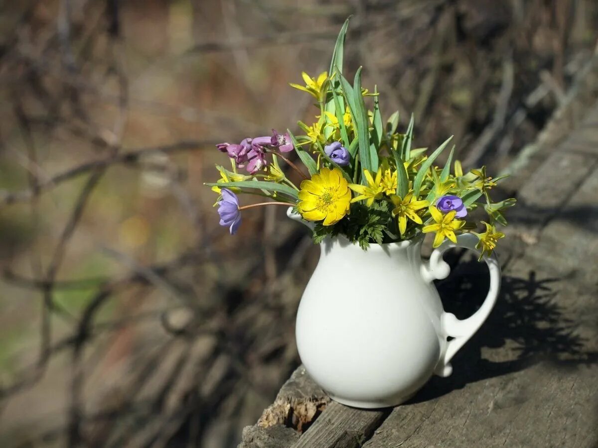 доброе утро первые цветы. крокусы в снегу. букет подснежников. весенняя природа. цветы крокусы первоцветы.