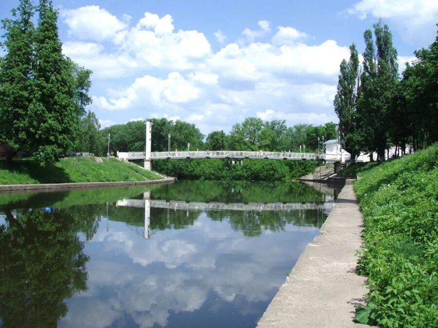 Орловщина красивые фото. Орловская орловщина. Орловская орловщина. Лес орловская область. Природа орловского края.