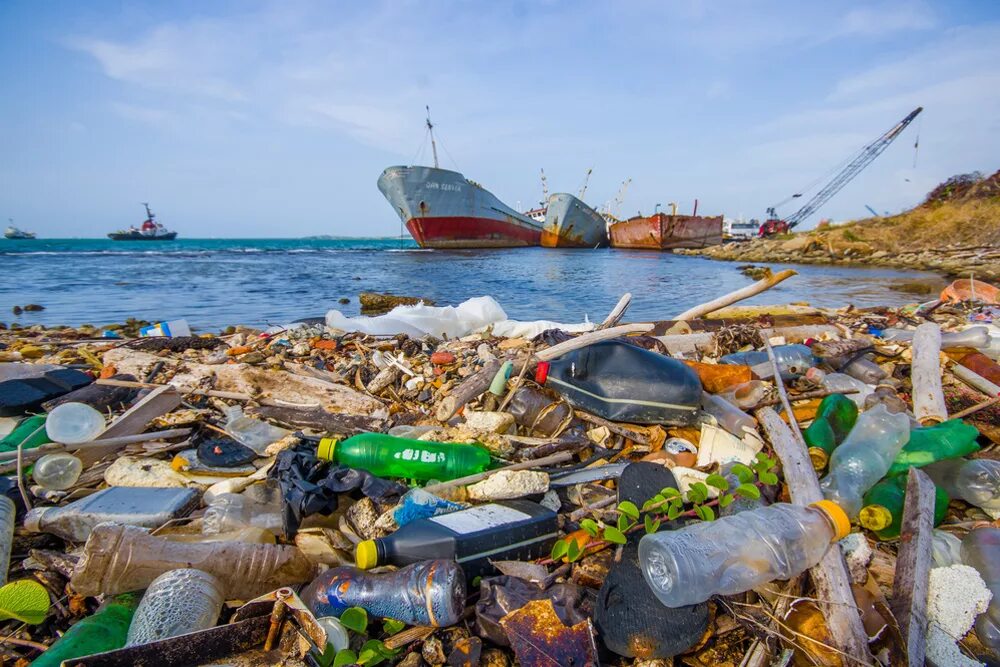 Глобальные экологические проблемы мирового океана. Проблемы мирового океана схема. Проблемы мирового океана. Проблемы мирового океана 7 класс. Проблемы мирового океана 7 класс.