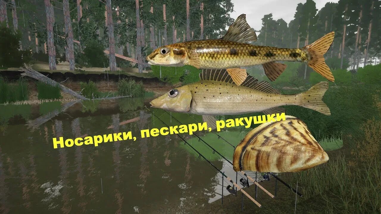 Фарм на вьюнке