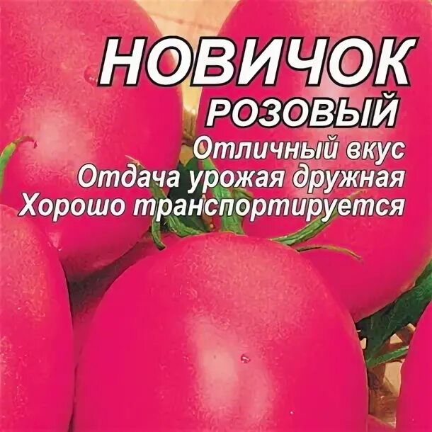 Томат Новичок Розовый, 10 шт., купить в интернет магазине Semenapost.ru