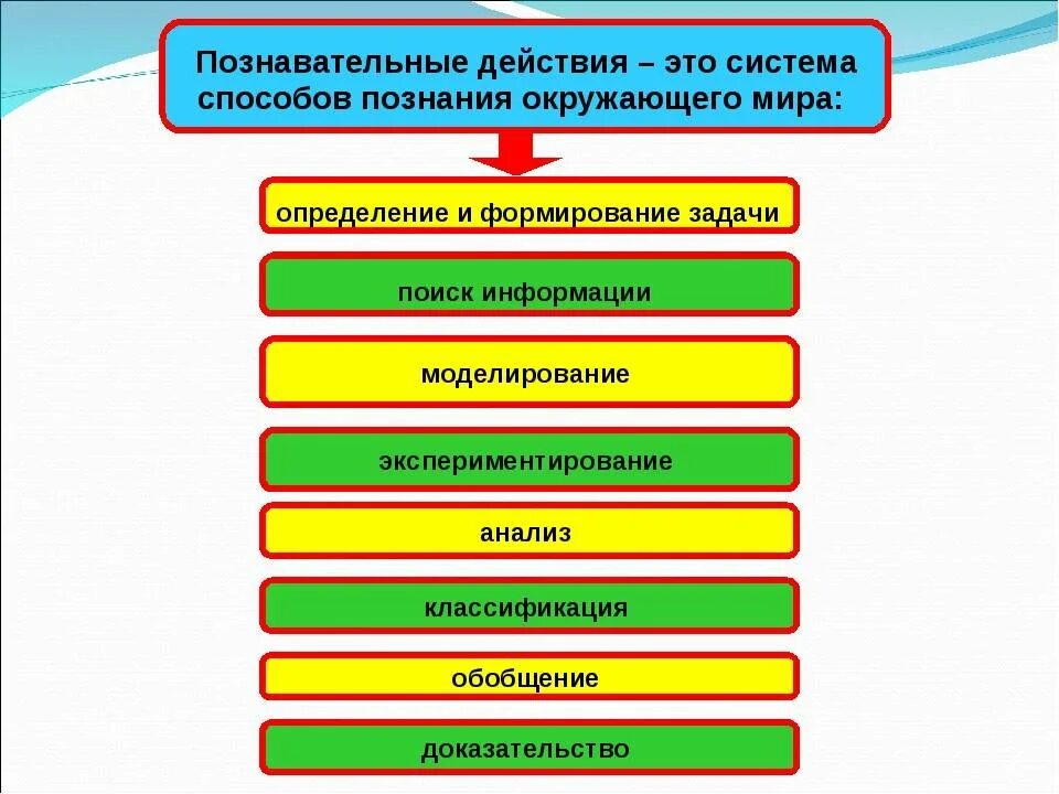 Познавательное развитие дошкольников. Стадии познавательного развития дошкольников. Структура познавательного развития. Составляющие познавательного развития дошкольников.