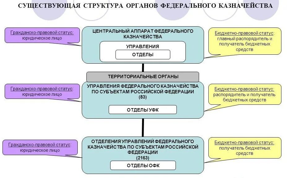 Виды казначейства