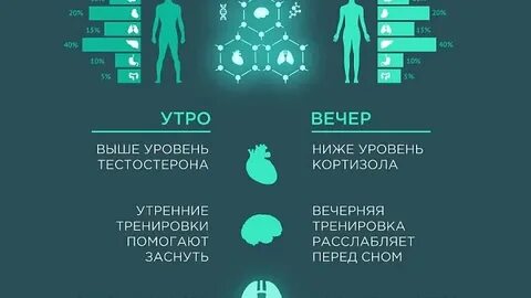В какое время суток лучше заниматься