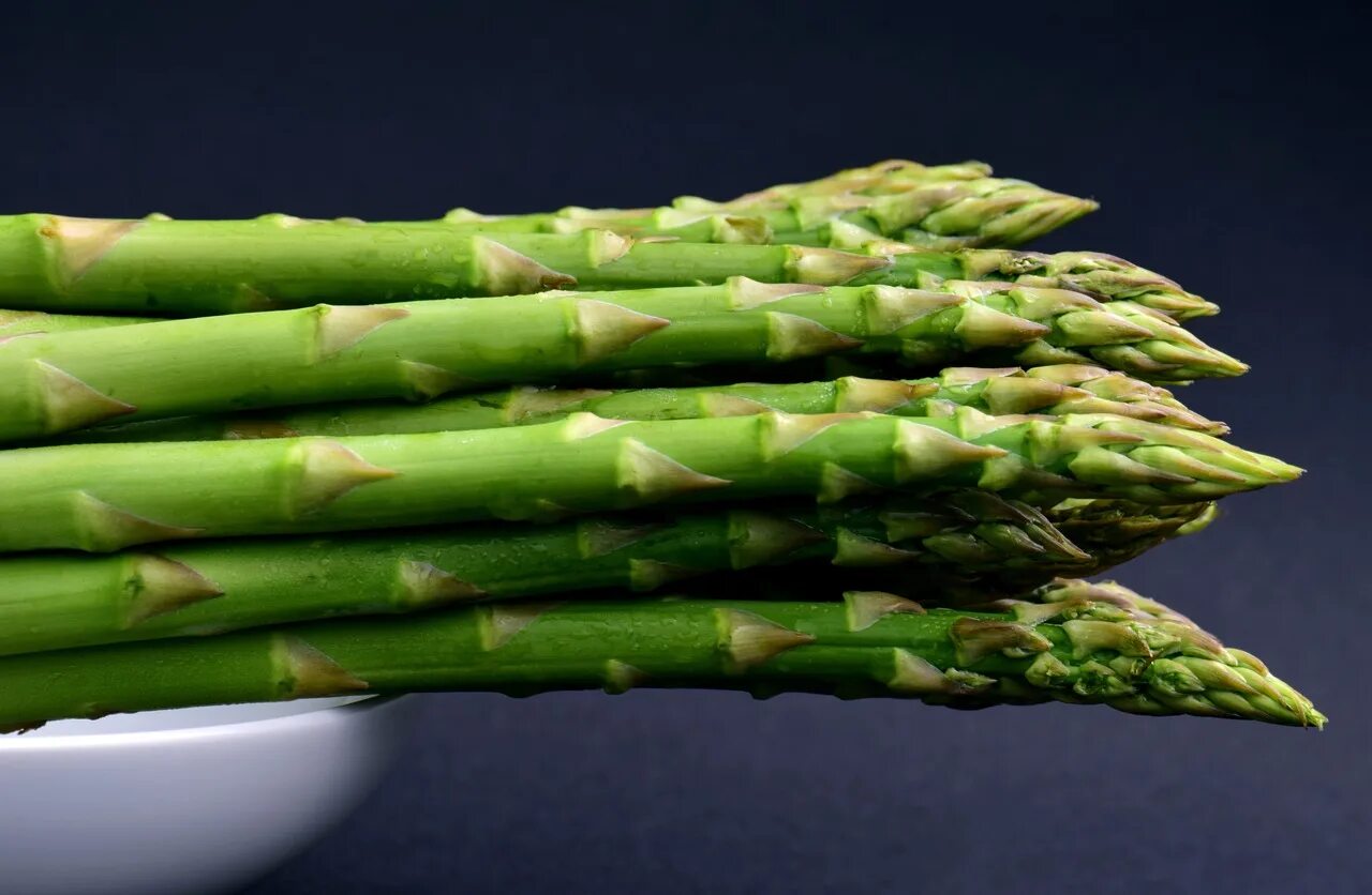 Спаржа домашняя. Аспарагус спаржа. аспарагус (спаржа) / asparagus. спаржа зеленая. аспарагус (спаржа) бэклим.