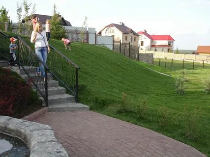 Снять лесная поляна
