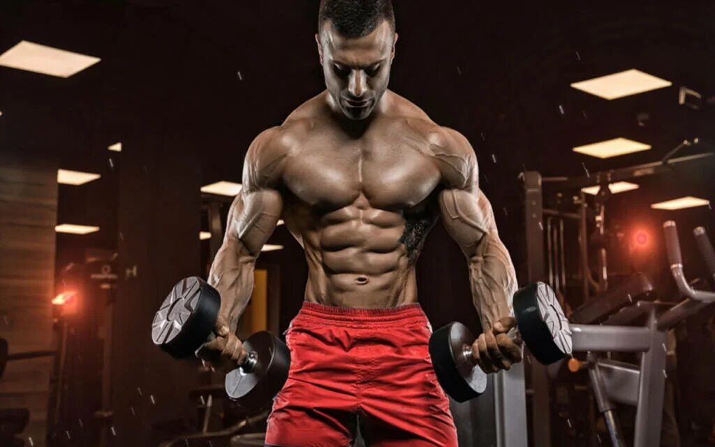 Building your body