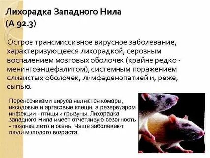 Инфекции лихорадка лихорадка