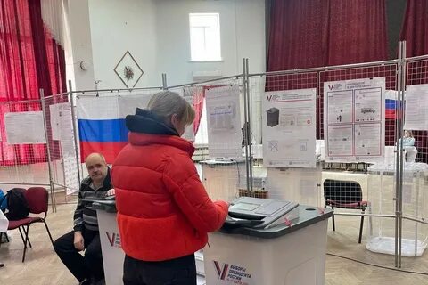 Явка на выборах 2024 сейчас