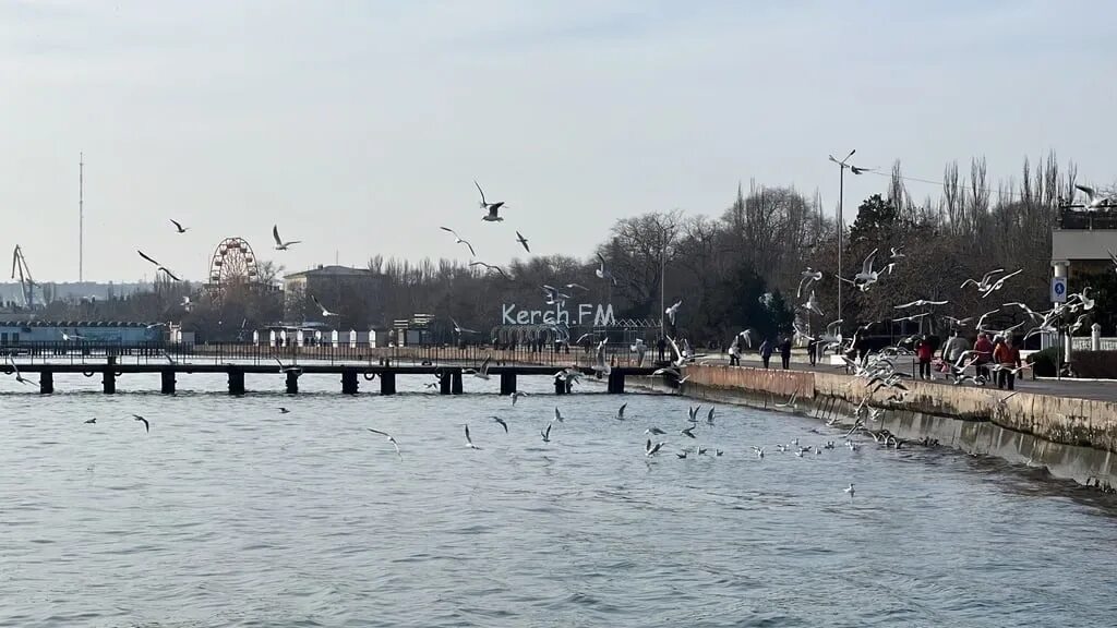 Погода в керчи. Погода в керчи. Погода в керчи март. Погода в керчи 2024 год. Фм.