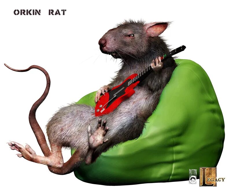 проект крыса. крыса характеристика. крымы интересные фактв. информация о крысах. агути окрас крысы.