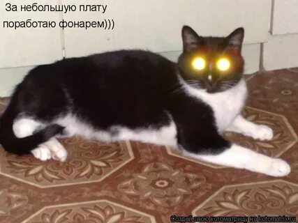 Меня опять забыли