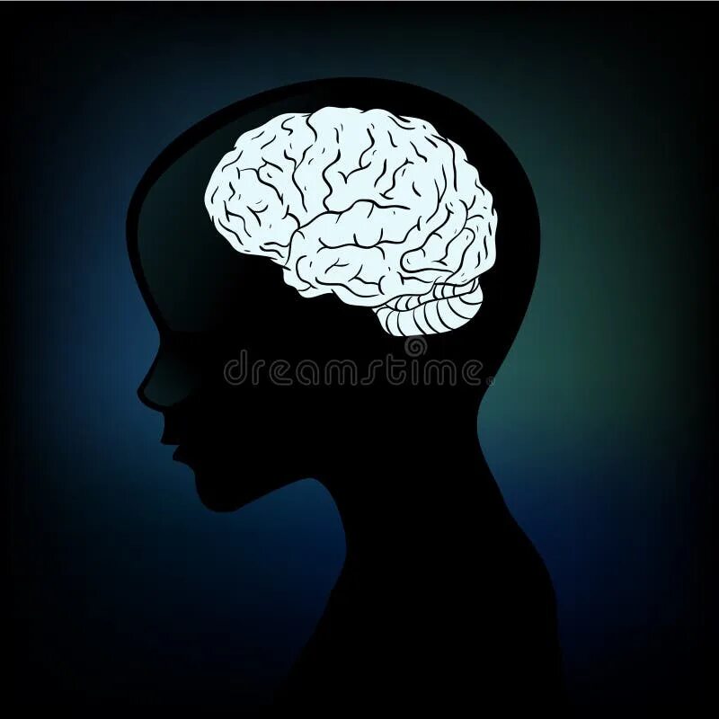 Мозги над головами. Мозг человека силуэт. Мозг с боку. Силуэт головы с мозгом. Мозг вектор.