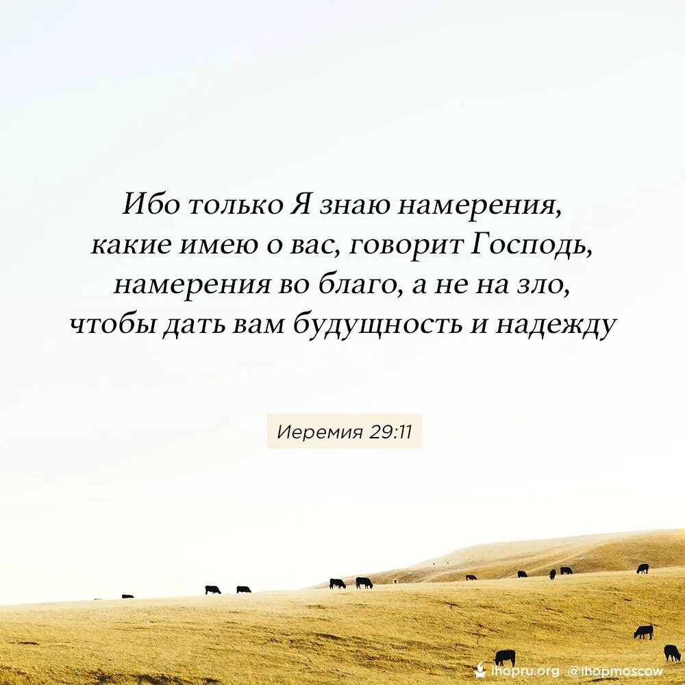 Иеремия 29