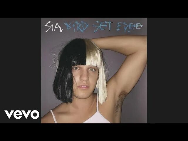 Bird set. Sia bird set. sia this is acting deluxe.