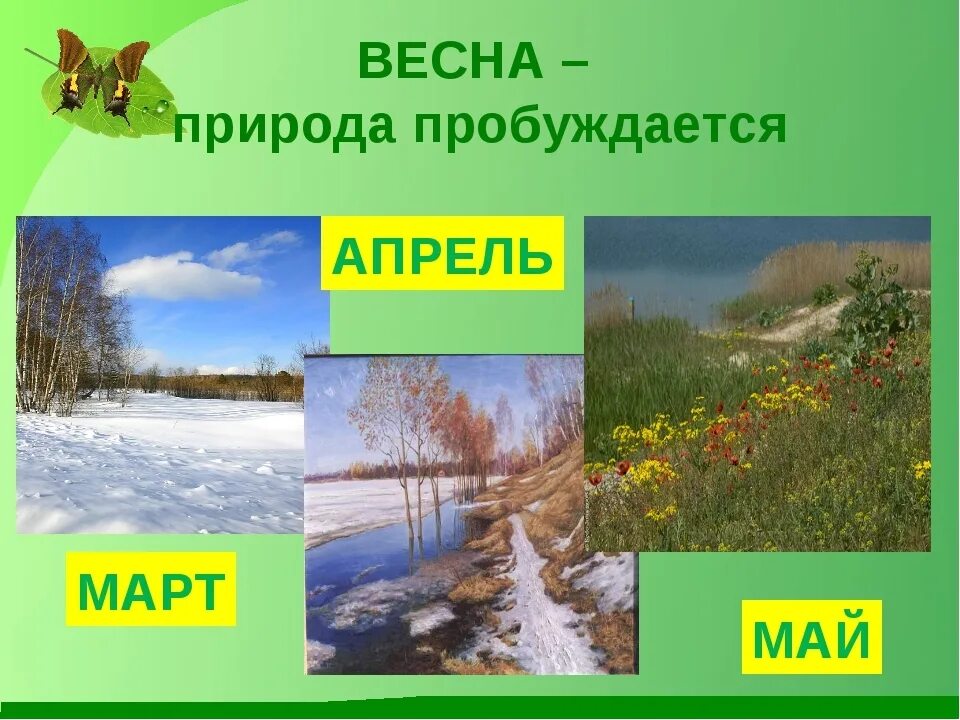 Какое сегодня апреля. Весенние месяцы. Весенние месяцы картинки. Весенние месяцы для уголка природы. Март апрель май.