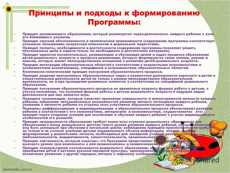 Принцип целостного подхода. Программа развитие принципы программы. Программа развитие венгер по фгос. Задачи программного обеспечения. Особенности программы развитие в доу.