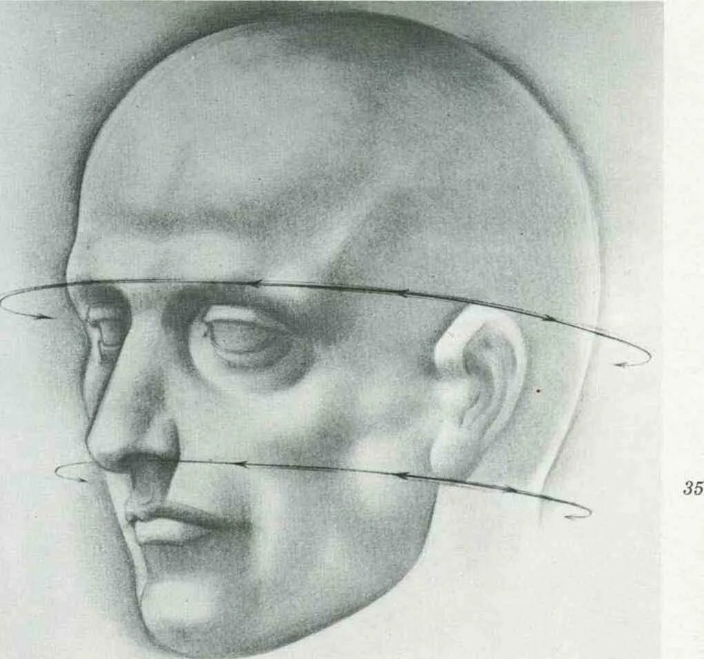 Четыре лоб. Берн Хогарт рисуем голову человека. Рисунки на голове. Голова человека рисунок. Зарисовка головы.