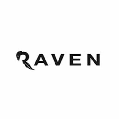 Равен групп. Ravens бренд одежды. Raven надпись. Raven property Group логотип. Raven Studio logo.