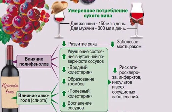 Красное вино сколько можно. Вино красное сухое калорийность на 100 мл. Полезное вино. Сухое вино. Польза вина.