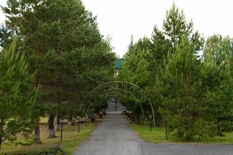 Сосновая 29