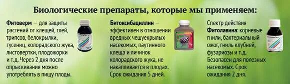 Можно ли смешать препарат. Препараты для опрыскивания. Биологические препараты для растений. Препараты для защиты растений. Битоксибациллин от вредителей.