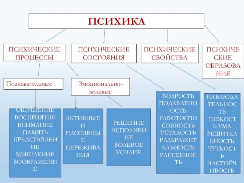 Психические процессы. Познавательные психические процессы. Основные психические процессы. Психические процессы схема. Свойства психических познавательных процессов