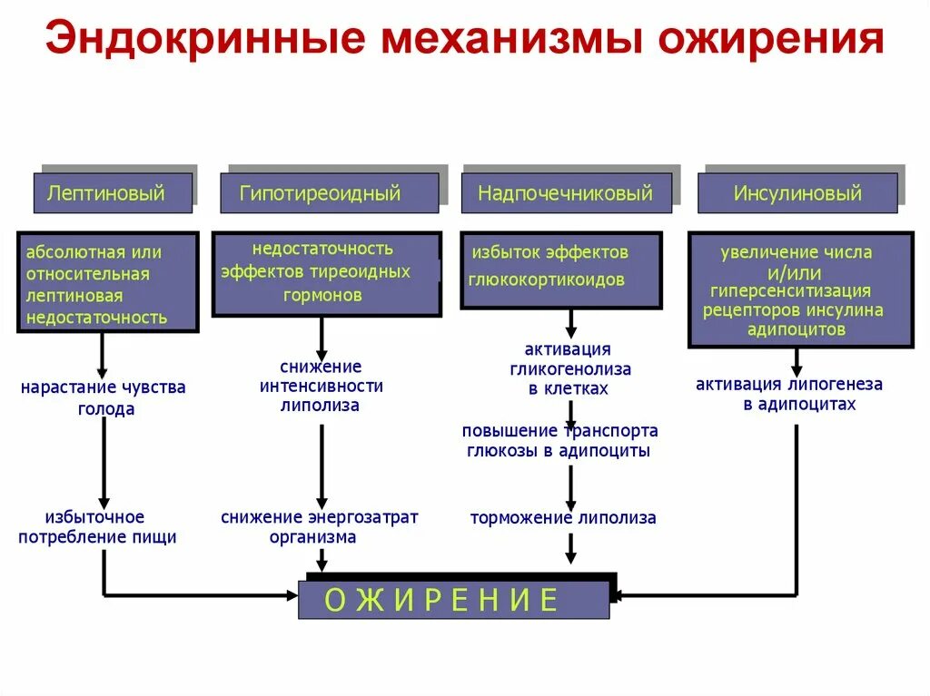 Анализ эндокринологии. Патогенез ожирения эндокринология. Патогенез эндокринного ожирения. Метаболический механизм ожирения. Лептиновый механизм ожирения патофизиология.