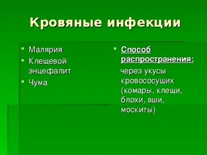 К кровяным инфекциям относится