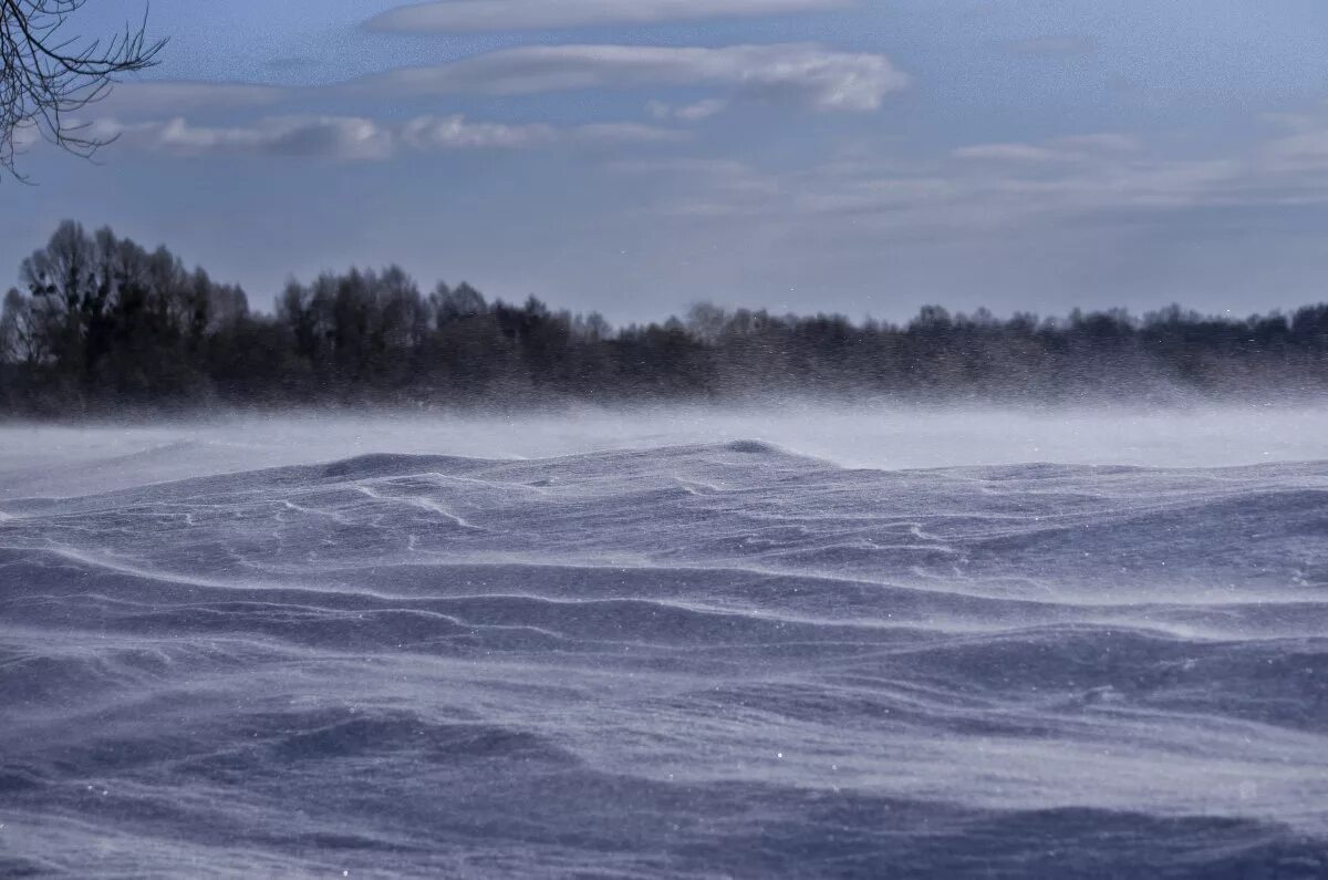 позёмка фото. метет поземка. поземка это. поземка картинка для детей. поземка это.