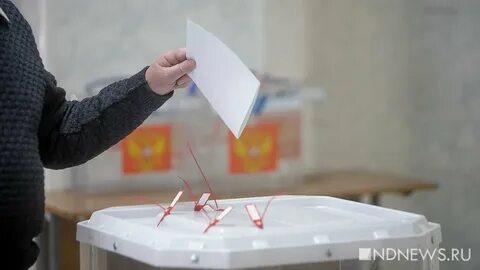 Оценка выборов 2024