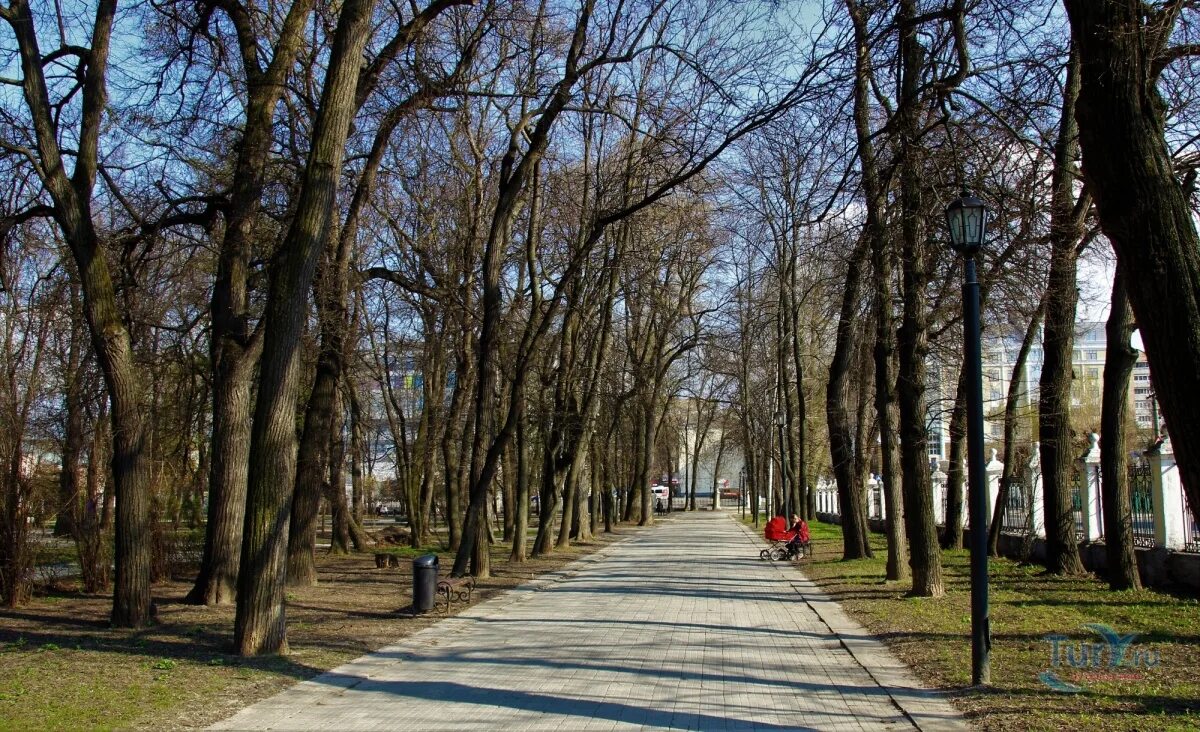 Парка рязань купить. Наташин парк. Рязань парк. Верхний городской парк Рязань. Наташин парк Рязань сверху.