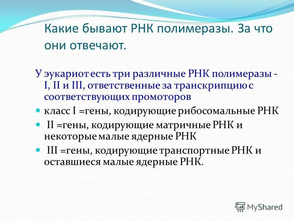 РНК полимеразы эукариот. Типы РНК полимеразы. РНК-полимеразы i. Типы РНК полимераз и их функции.